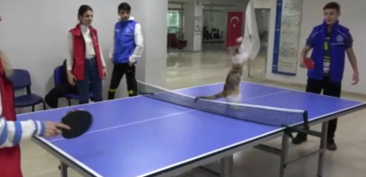 Raket gitti pati geldi! Masa tenisinin yıldızı kendine hayran bıraktı