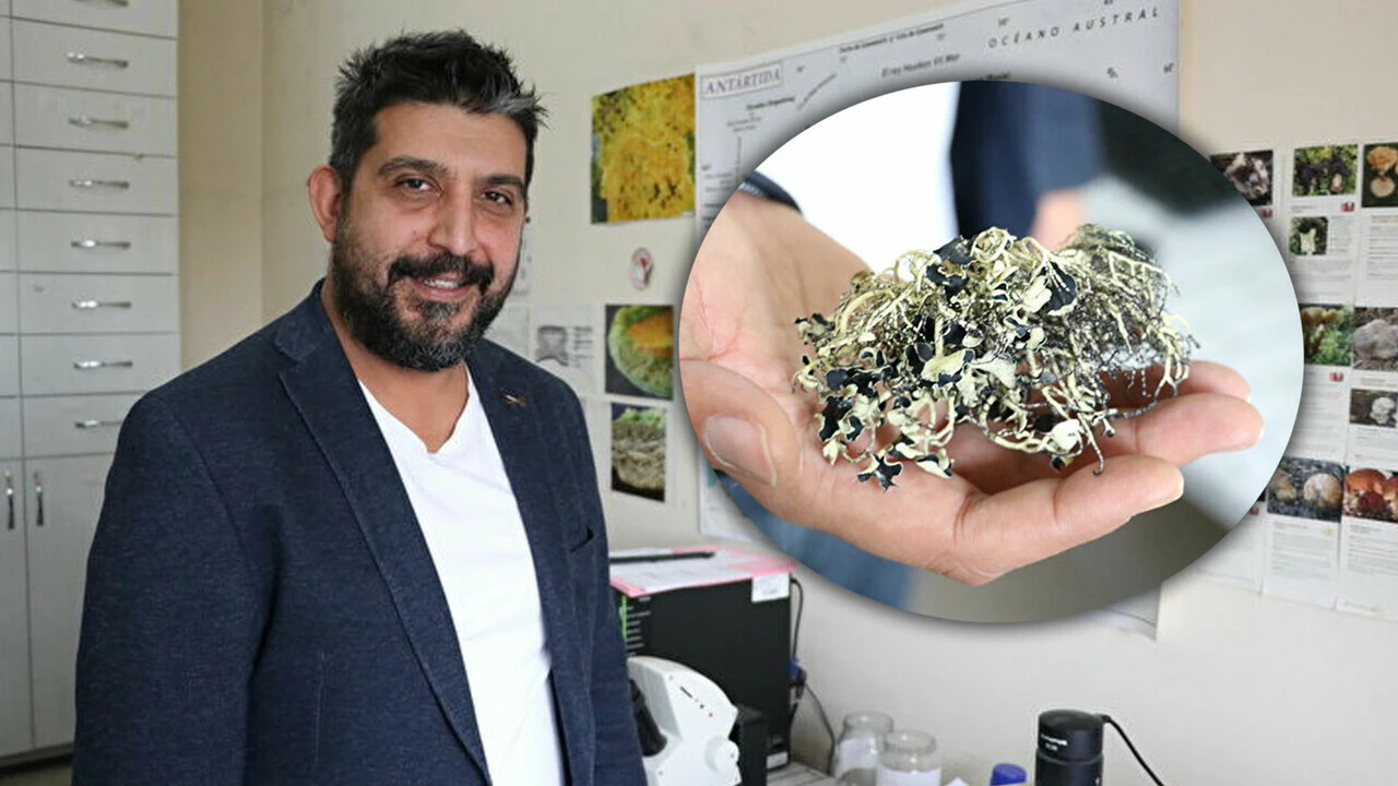 Antarktika'da 10 yeni tür keşfetti: Türk bilim insanının büyük başarısı
