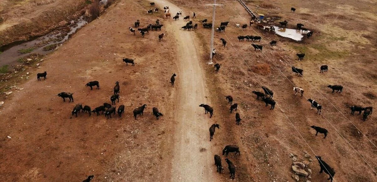 Cumhurbaşkanı Erdoğan satın aldı, talep patladı! İlçe halkı siparişlere yetişmekte zorlanıyor