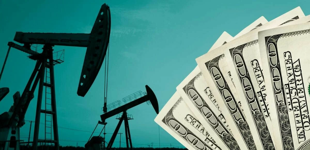 Cumhurbaşkanı Erdoğan'dan petrol rezervi açıklaması: Değeri 12 milyar dolar