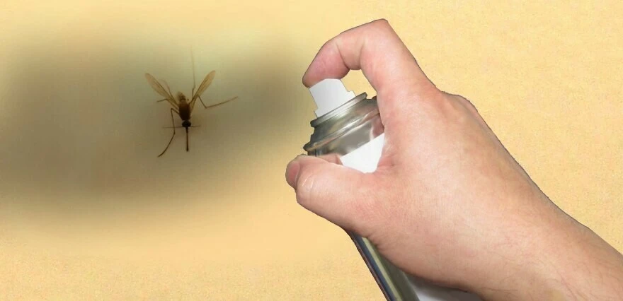 Böcek ilacına normalden bin kat fazla dayanabilen "süper" sivrisinekler keşfedildi
