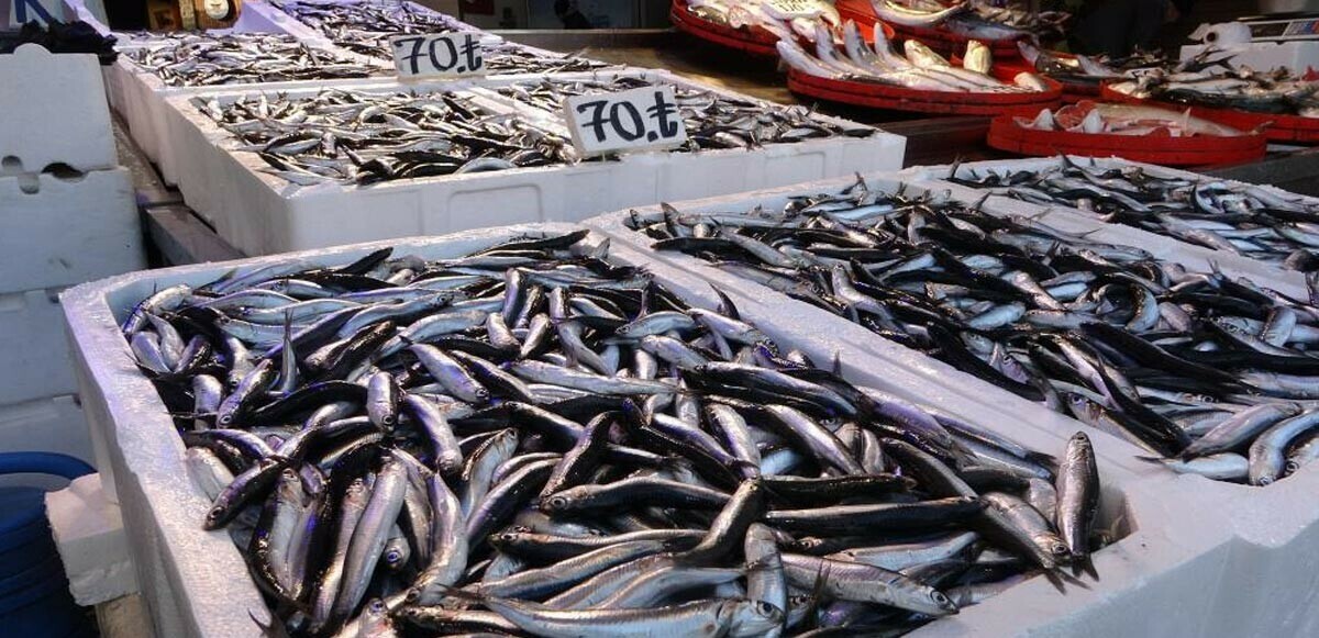 Hamsinin fiyatı tavan yaptı! Tezgahtaki etiketi gören bir daha bakıyor