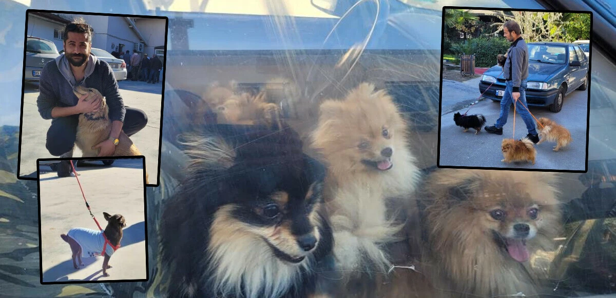 Patili dostlarımızın çip sırası! Kedisini, köpeğini getiren mikroçip sırasına girdi