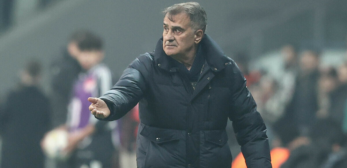 Şenol Güneş: &quot;Hiçbir oyuncu almıyoruz&quot;