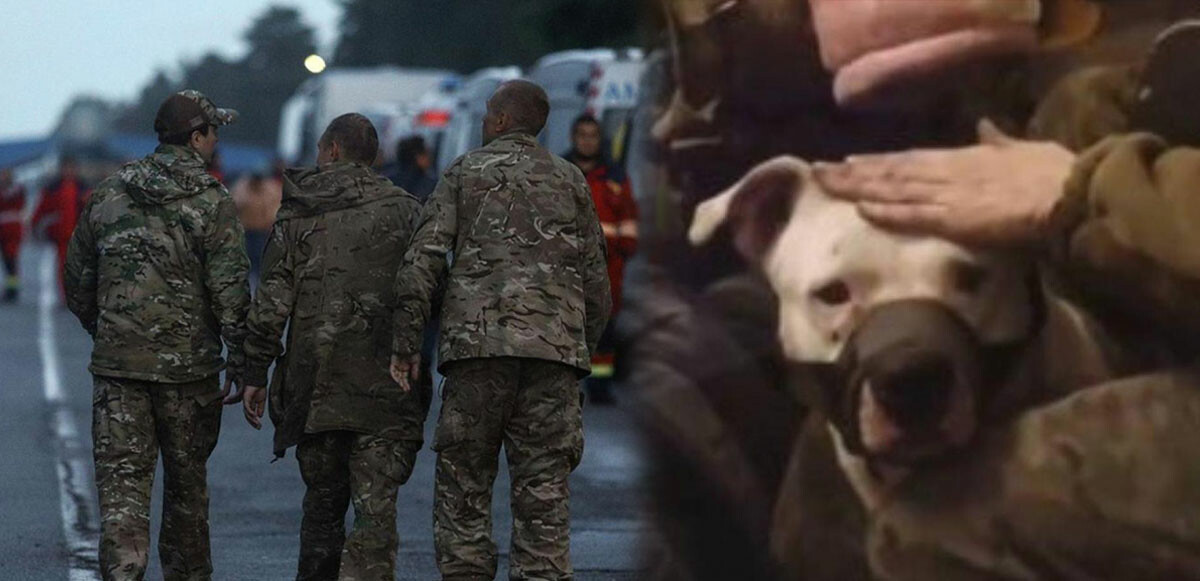 Azovstal&#039;dan alınıp Kadirov&#039;a götürülen pitbull da Ukrayna&#039;ya iade edildi!  82 Rus askerine karşılık 140 Ukraynalı