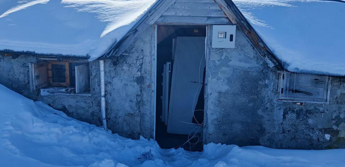 Kış uykusuna yatmayan ayı yayla evlerine dadandı