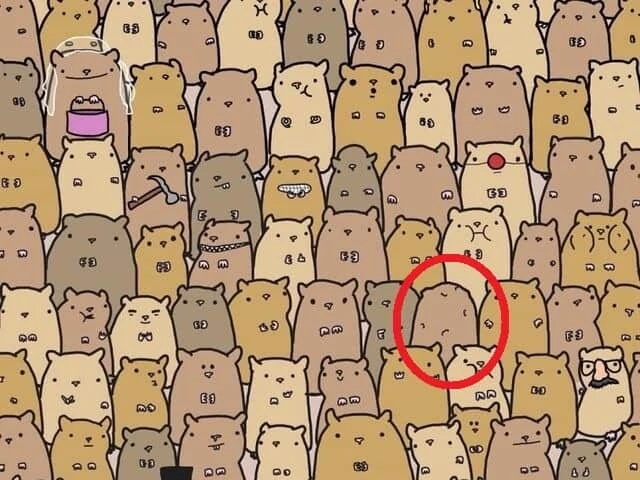 Aklını hızlı kullananları ortaya çıkarıyor! Hamsterler arasındaki patatesi bulmak için 7 saniyeniz var