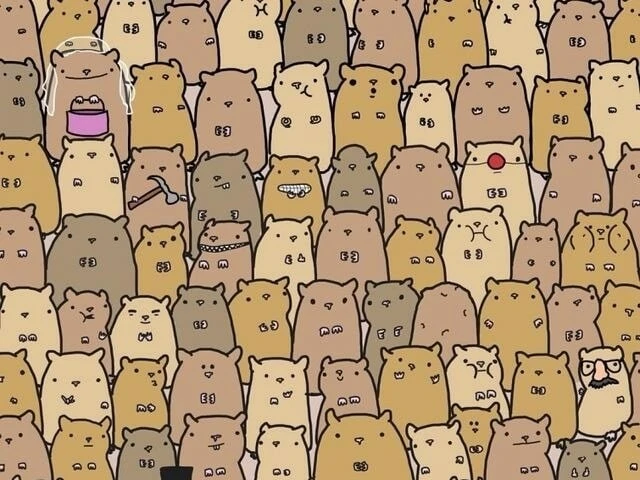 Aklını hızlı kullananları ortaya çıkarıyor! Hamsterler arasındaki patatesi bulmak için 7 saniyeniz var