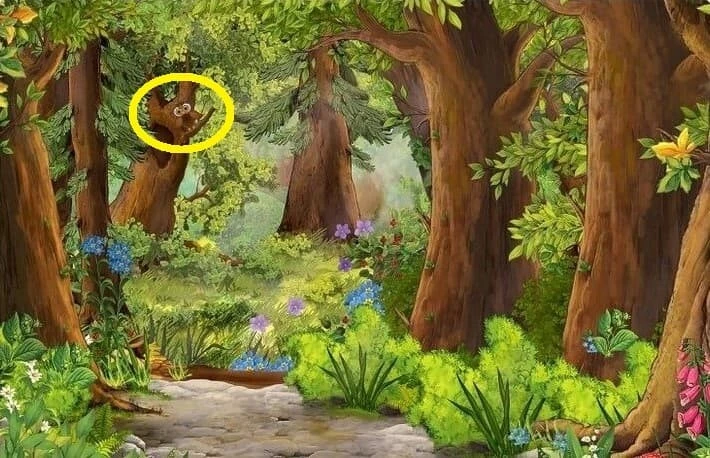 5 saniyede zekanızı test edin: Ormandaki baykuşu 5 saniyede görebilenler 130 görsel zeka puanına sahip olduğunu kanıtlıyor!