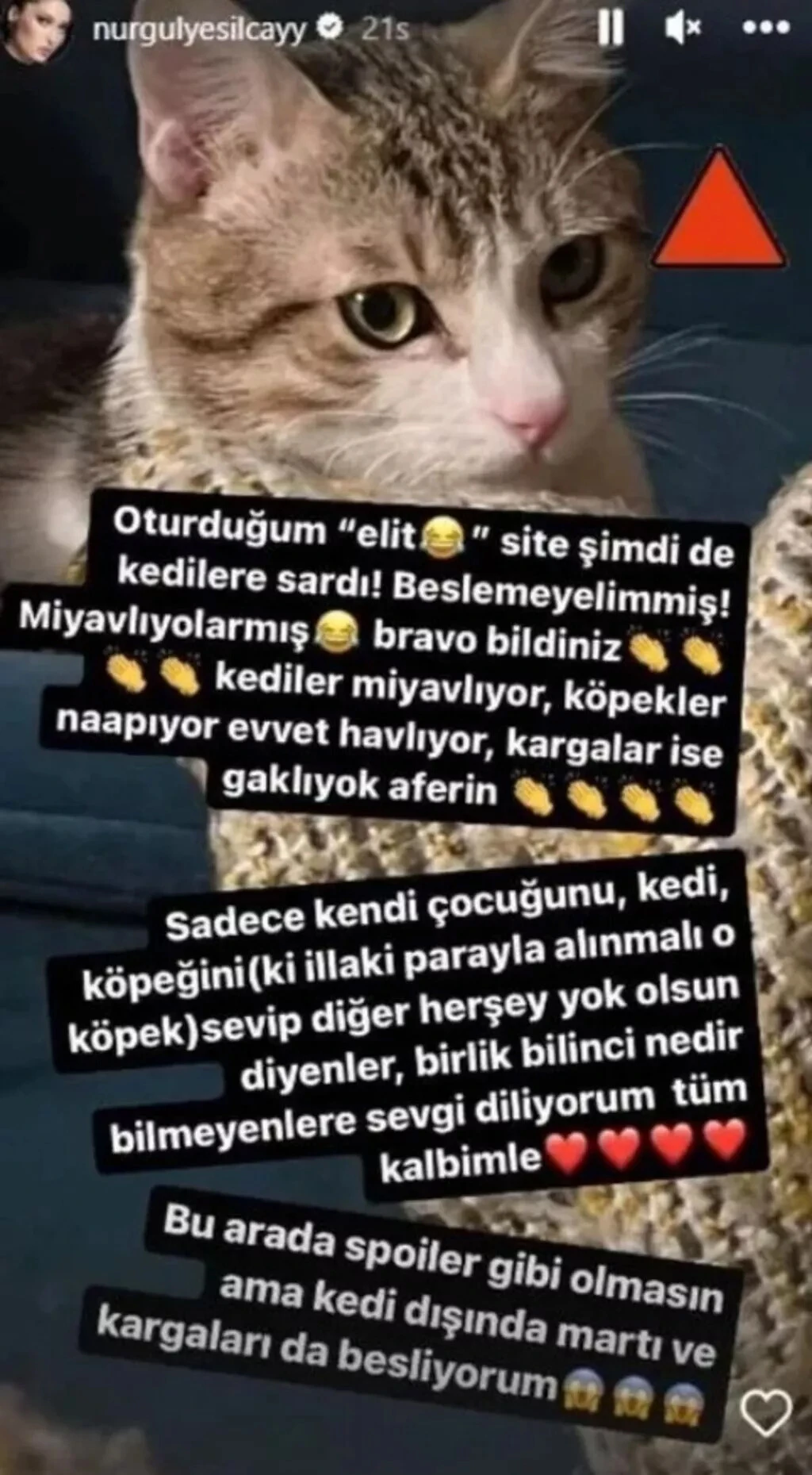 Kedisi yüzünden komşularıyla arası açılan Nurgül Yeşilçay verdi veriştirdi