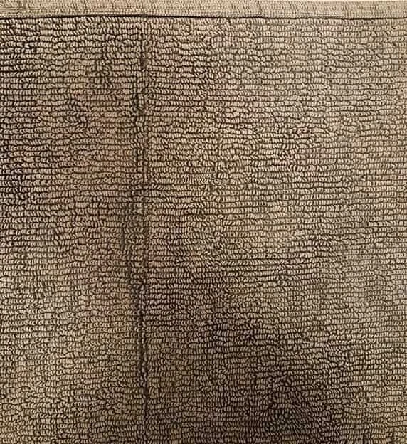 En detaylı görsel zeka testi: 10 saniyede paspastaki tokayı bulan kartal gibi gözlere sahip olduğunu ispatlıyor!