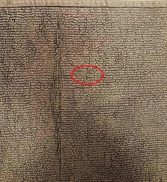 En detaylı görsel zeka testi: 10 saniyede paspastaki tokayı bulan kartal gibi gözlere sahip olduğunu ispatlıyor!