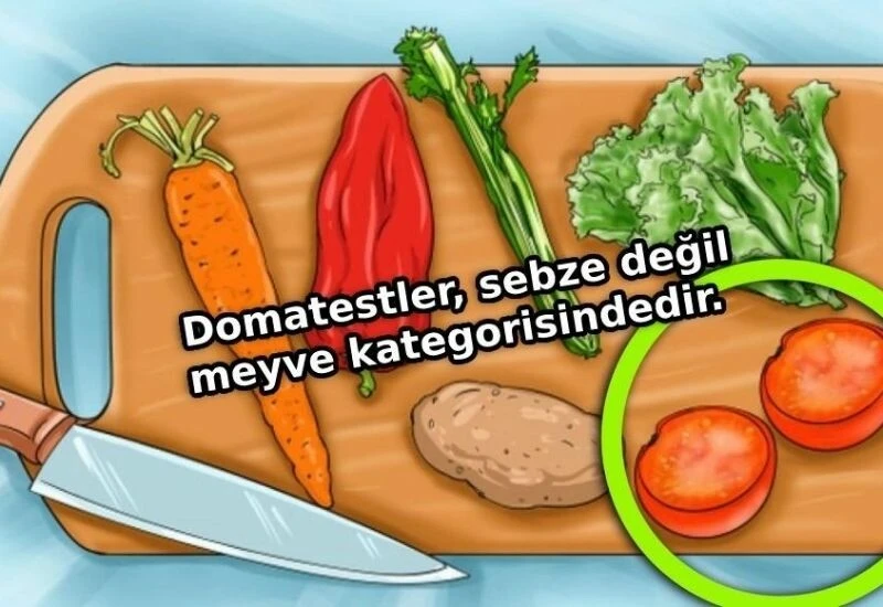 Yalnızca Newton kadar zekiler çözebiliyor! Farklı sebzeyi 10 saniyede bulan yok denecek kadar az!