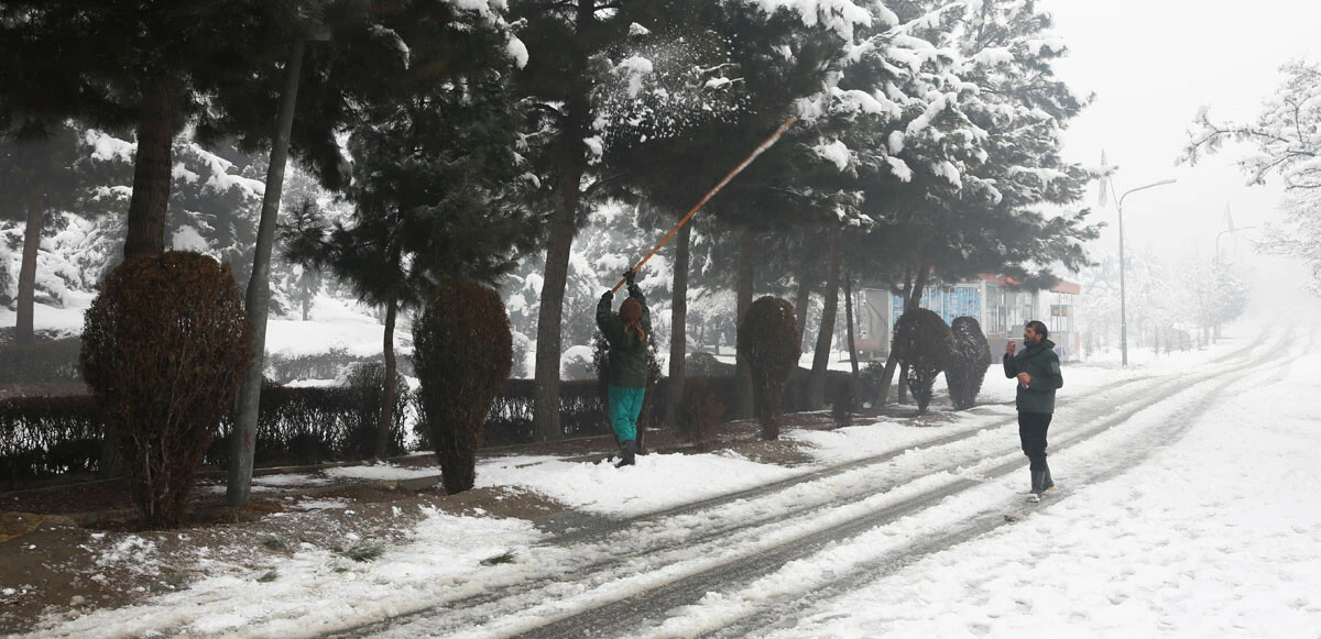 Taliban yönetimindeki Afganistan'da soğuktan onlarca kişi öldü! Binlerce hayvan telef oldu