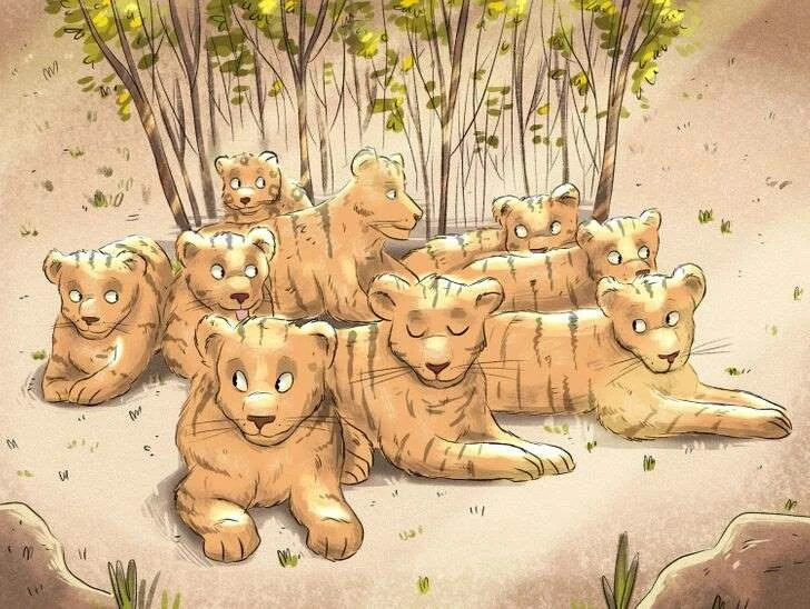 Zekası jaguar kadar hızlı olanlar kaplanların arasındaki jaguarı 5 saniyede bulabiliyor!