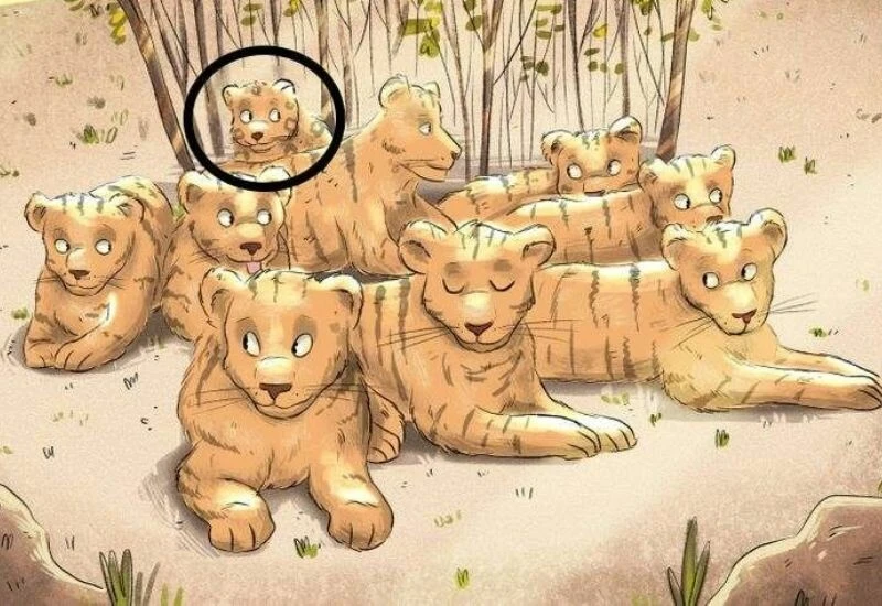 Zekası jaguar kadar hızlı olanlar kaplanların arasındaki jaguarı 5 saniyede bulabiliyor!