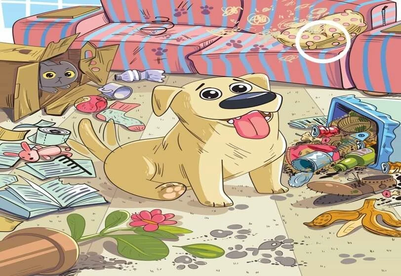 Kısa süreli belleğinizi ölçen zeka testi! Yaramaz köpeğin kemiğini 10 saniyede bulacak dahi aranıyor