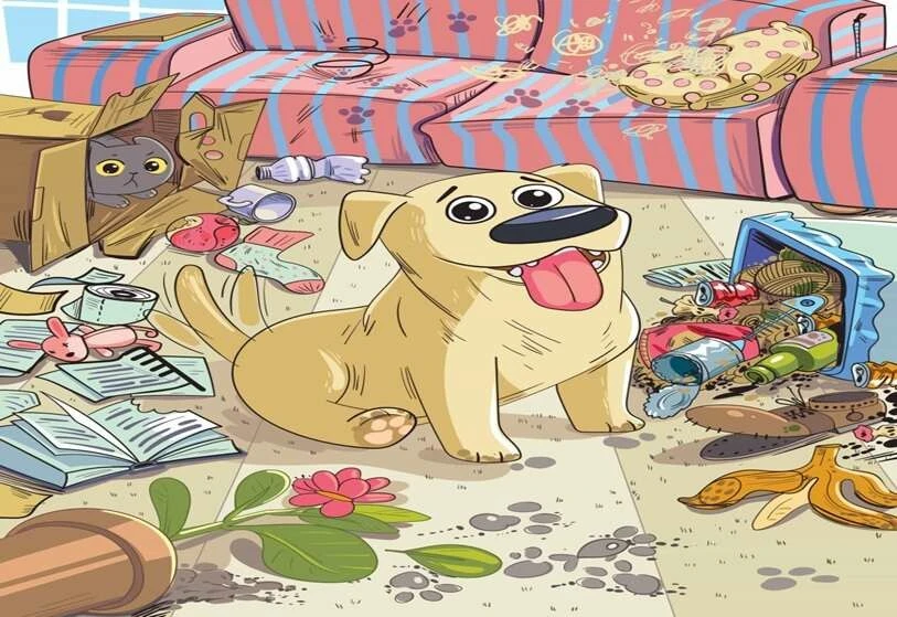 Kısa süreli belleğinizi ölçen zeka testi! Yaramaz köpeğin kemiğini 10 saniyede bulacak dahi aranıyor