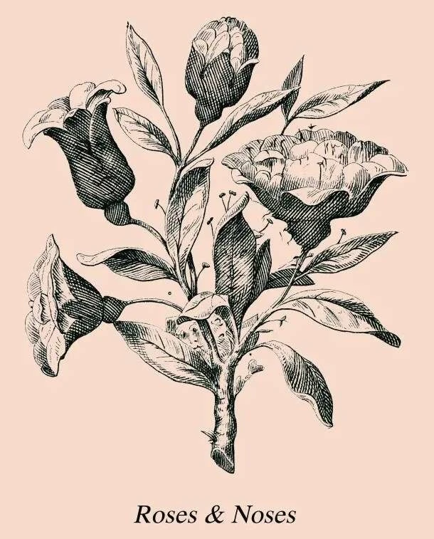 Resimdeki gizli yüzleri kimse bulamıyor: Sadece IQ’su 140 olanların görebildiği optik illüzyon testi!