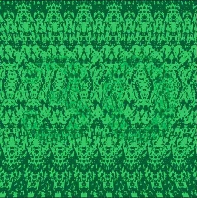 Zeka uçuran IQ testi! Sadece süper güçlü beyinler resimdeki numarayı 20 saniyede görebiliyor