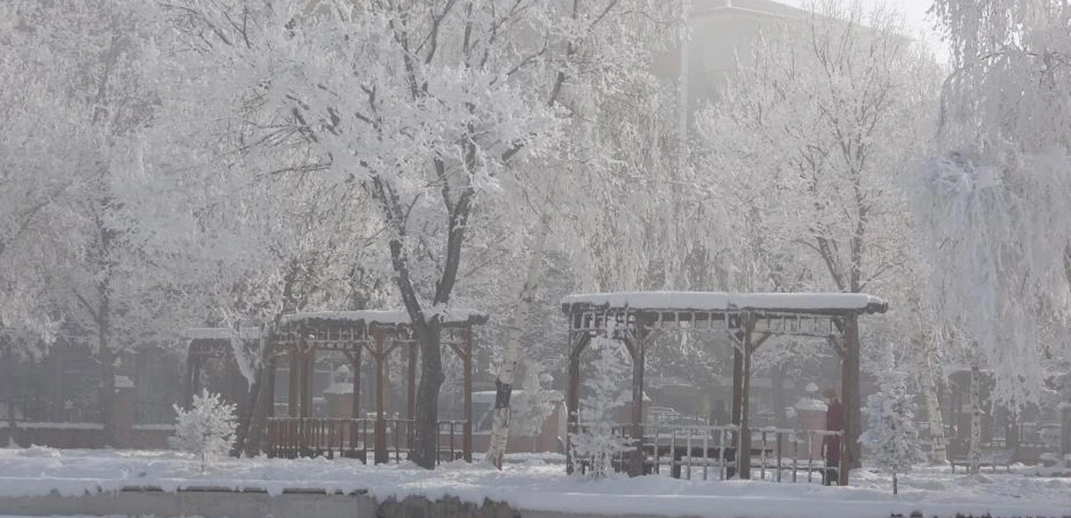 Türkiye'nin en soğuk ilçesi eksi 28 dereceyle buz kesti