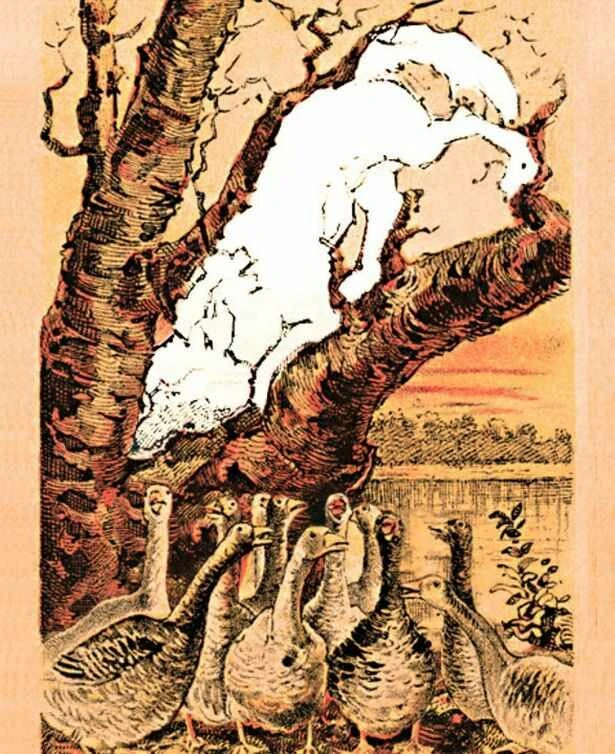 Zekanız ne kadar keskin? Kazların arasındaki kurnaz tilkiyi 10 saniyede bulanların IQ’su 140 çıkıyor!