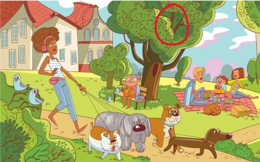 En iyi görsel zeka testi: Zürafayı 7 saniyede bulabilirseniz kanıtlanmış bir dahisiniz!