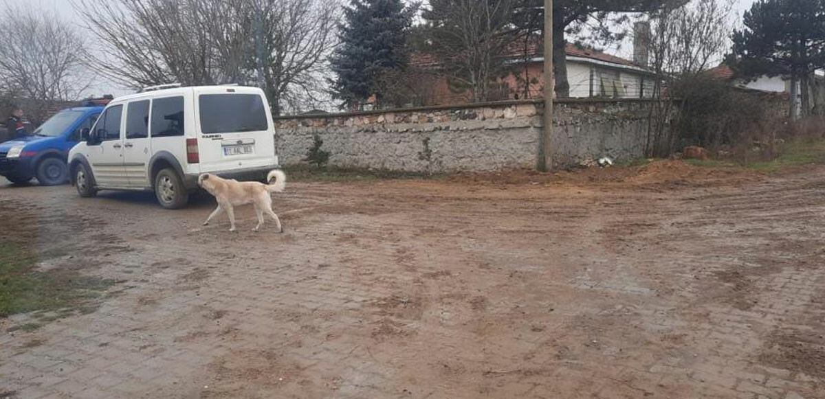 Eskişehir&#039;de vahşet! Emekli astsubay eşi ve çocuklarını öldürdü