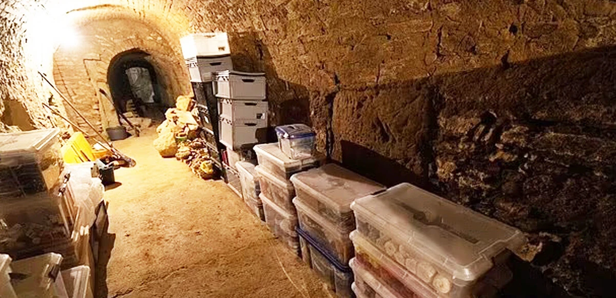 Mahzeninde 6 çocuk bulunan baba, savaş suçlusu ünlü Nazi'nin torunu çıktı