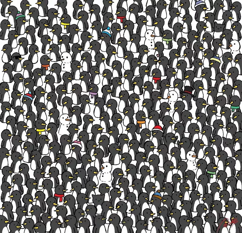 5 saniyeniz var… Kayaların arasındaki leoparı sadece yüksek IQ'ya sahip kişiler bulabiliyor