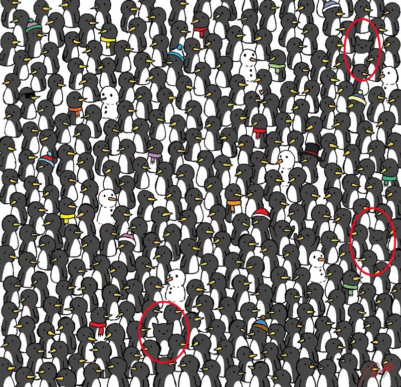 5 saniyeniz var… Kayaların arasındaki leoparı sadece yüksek IQ'ya sahip kişiler bulabiliyor