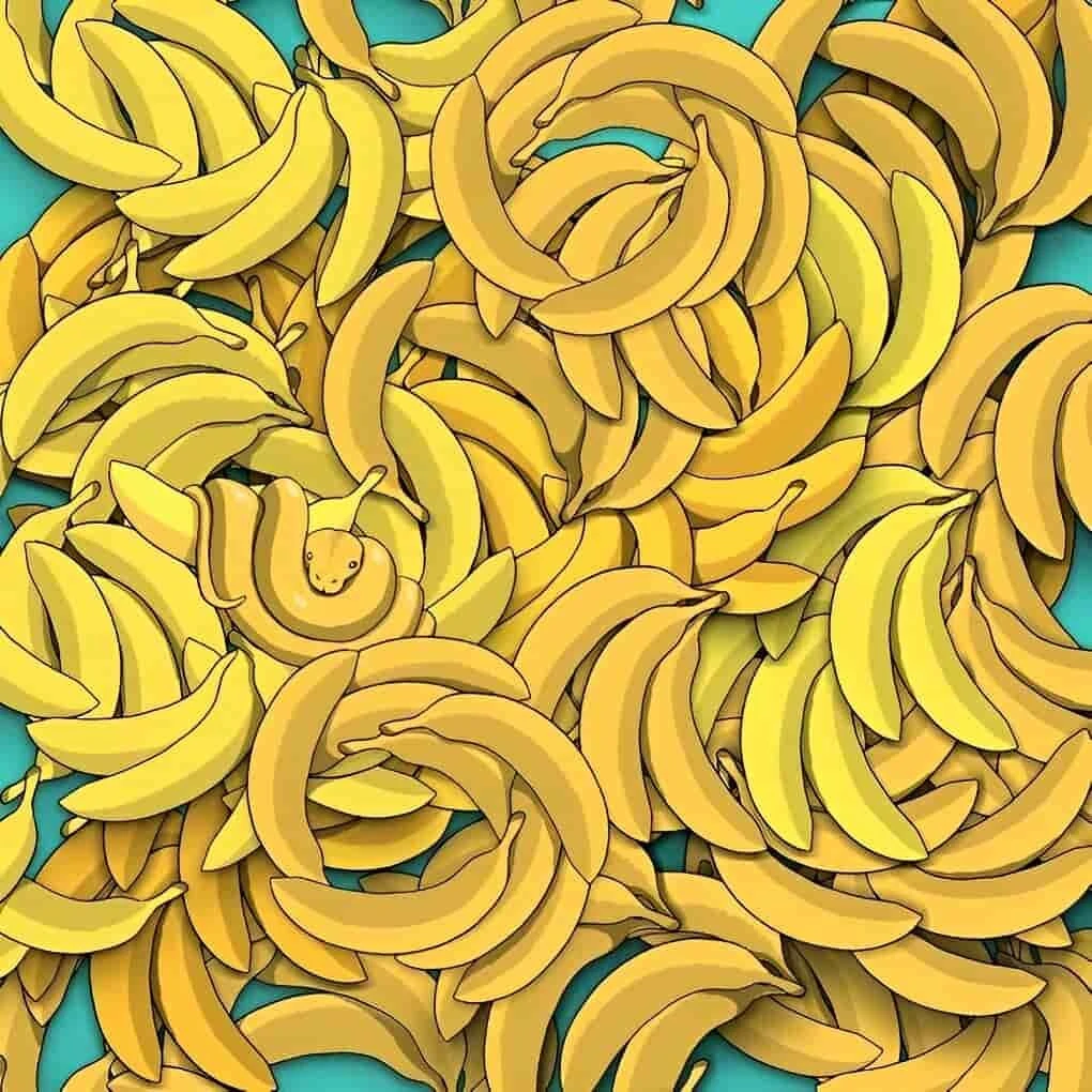 Süre başladı… 9 saniyeniz var! Muzların arasındaki yılanı bulabilen dahi çıkıyor