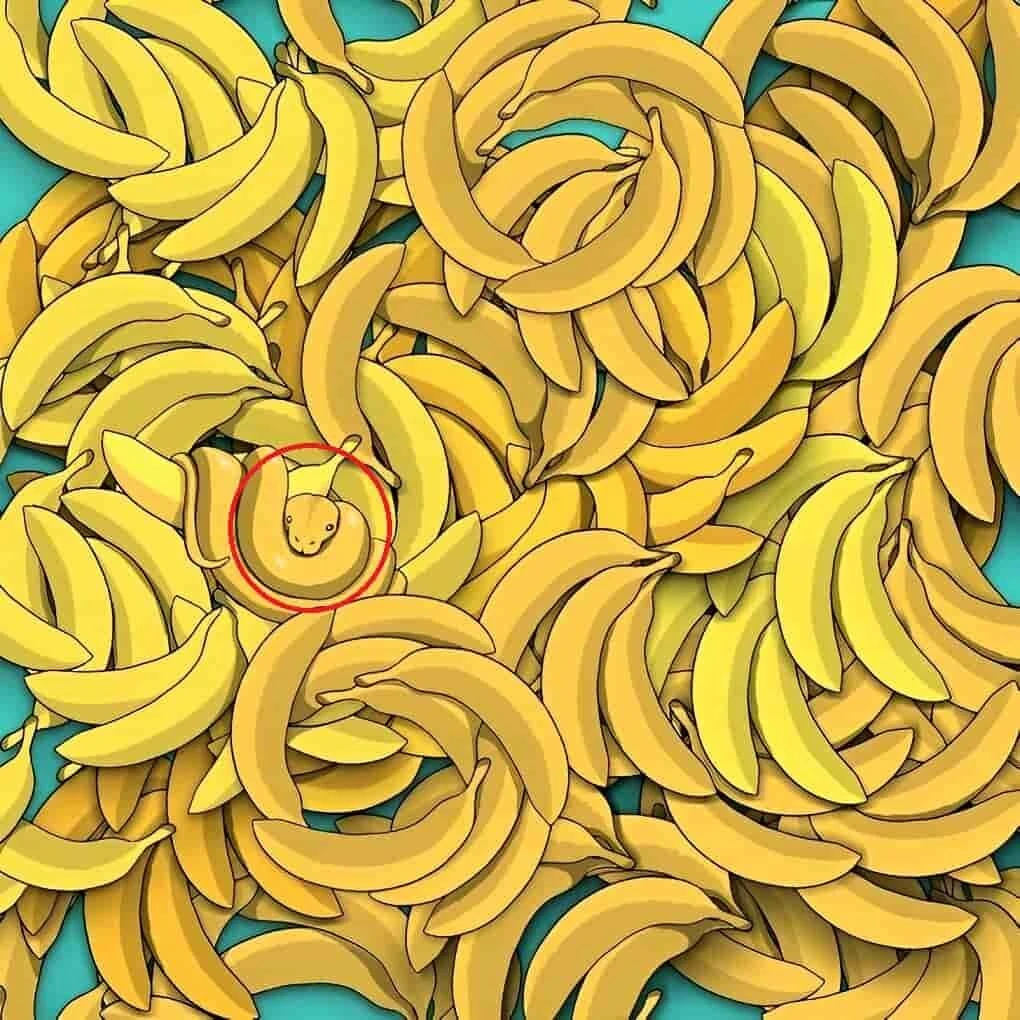 Süre başladı… 9 saniyeniz var! Muzların arasındaki yılanı bulabilen dahi çıkıyor