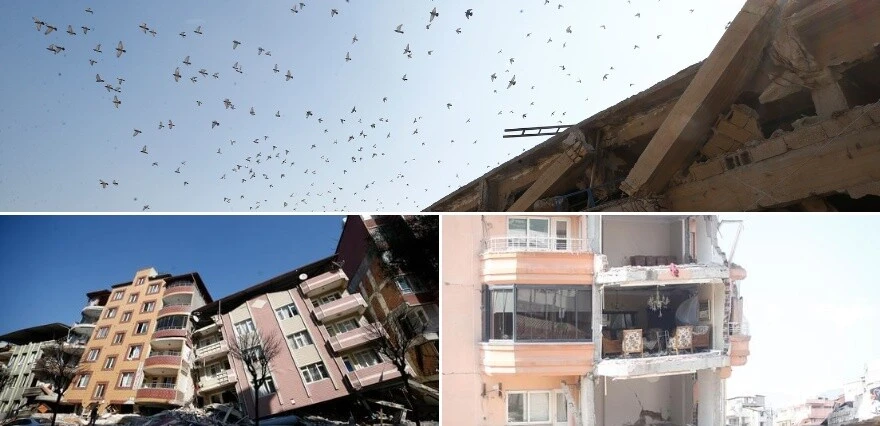 Son dakika! Kahramanmaraş depreminde 8. gün: Yüzyılın felaketinde can kaybı 31 bini aştı