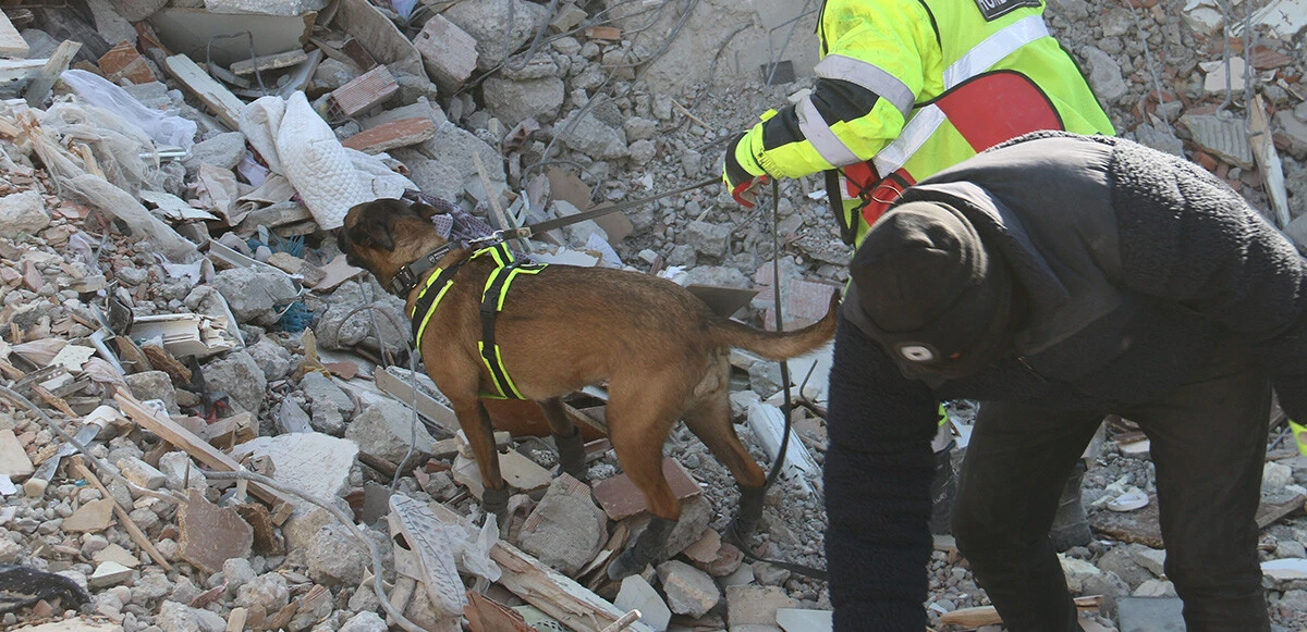 Deprem bölgesinin kahramanları: Asko ve Pia, 5 günde 10 kişiye ulaştı