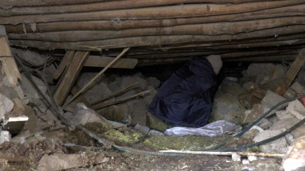 Çocuğu gibi gördüğü hayvanları için her gün ölümü göze alıyor! Enkazda sıkışan ineğini böyle besliyor