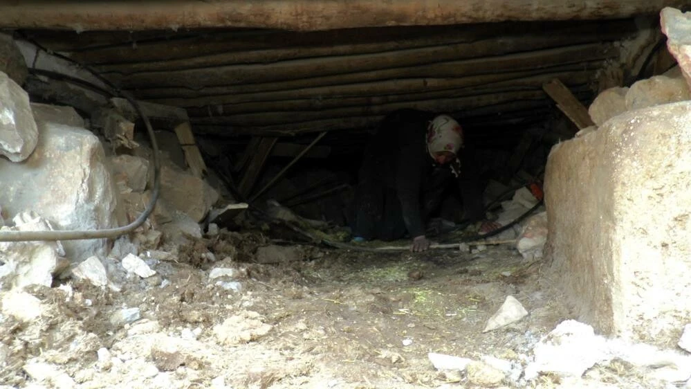 Çocuğu gibi gördüğü hayvanları için her gün ölümü göze alıyor! Enkazda sıkışan ineğini böyle besliyor