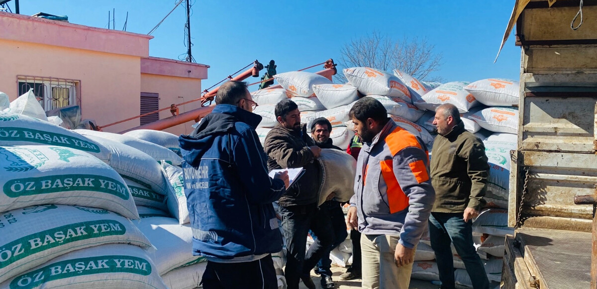 Deprem bölgesindeki hayvan yetiştiricilerine yem desteği