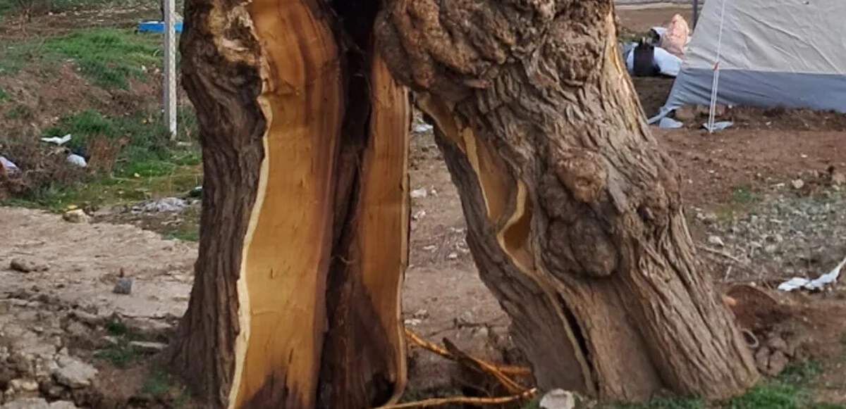 Görenler şaştı kaldı: Depremin etkisiyle ikiye ayrıldı