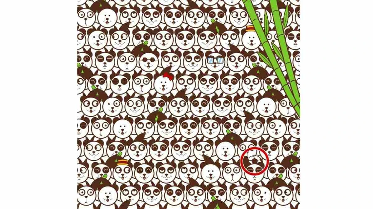 Süre: 17 saniye… Pandaların arasındaki futbol topunu yalnızca dâhiler bir bakışta bulabiliyor!