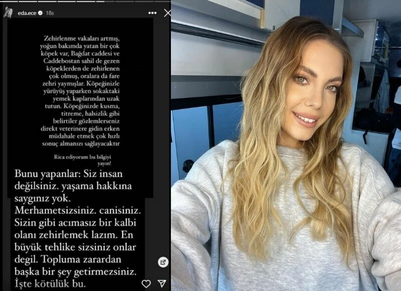 Kedi ve köpeklerin zehirlendiğini öğrenen Eda Ece isyan etti: Sizin gibi acımasız kalbi zehirlemek lazım!