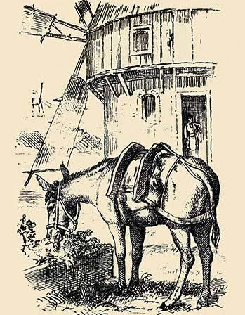 1880'lerin en iyi optik illüzyon testi! Yüksek IQ'lu insanlar atın sahibini 15 saniyede bulabiliyor