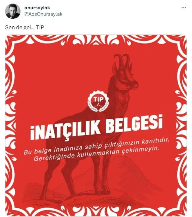 Oyuncu Onur Saylak, Türkiye İşçi Partisi'ne üyeliğini açıkladı: Bu belge inadınıza sahip çıktığınızın kanıtıdır