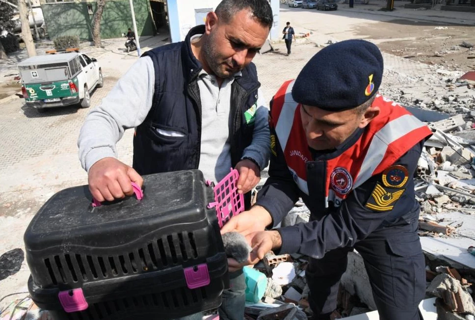 Patili canlar enkaz altından sağ olarak çıkarıldı