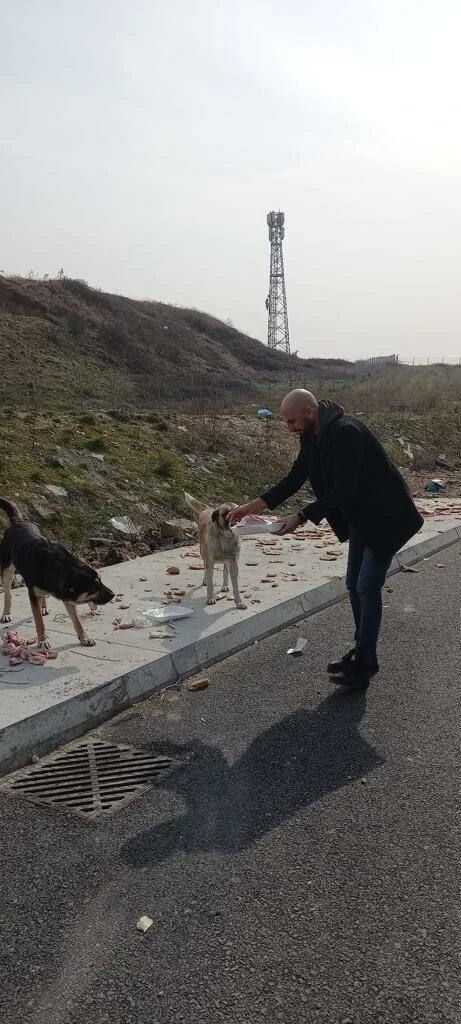 İş Adamı Veysel Güryel sokak hayvanlarını unutmadı