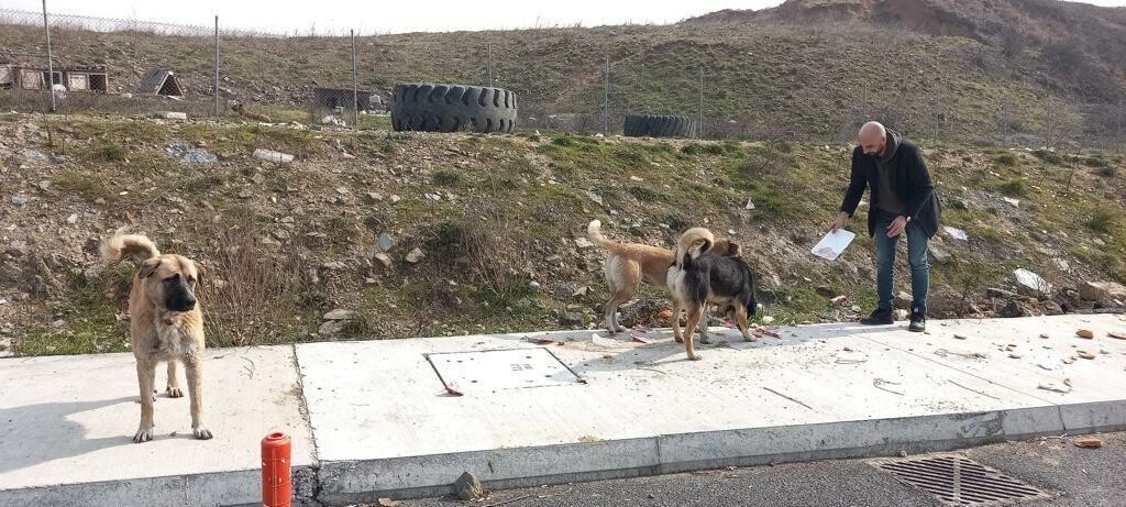 İş Adamı Veysel Güryel sokak hayvanlarını unutmadı
