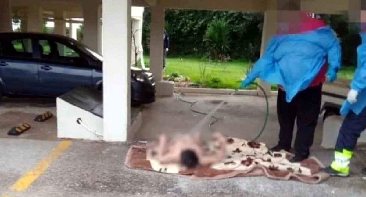 Yunanistan'ı ayağa kaldıran görüntü: Yaşlı kadını kıyafetsiz bahçe hortumuyla yıkadılar!