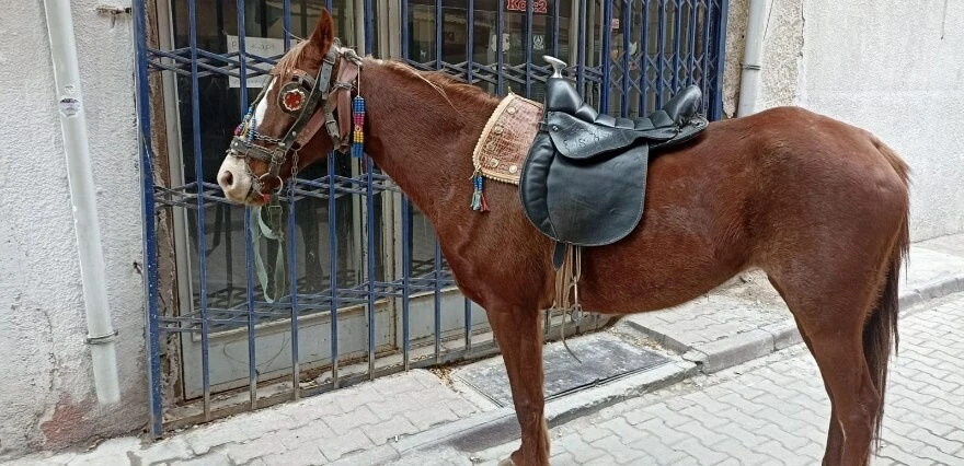 Konya'da ilginç olay: Atıyla caddede dolaşan alkollü kişiye 'ters yönde araç kullanma' cezası