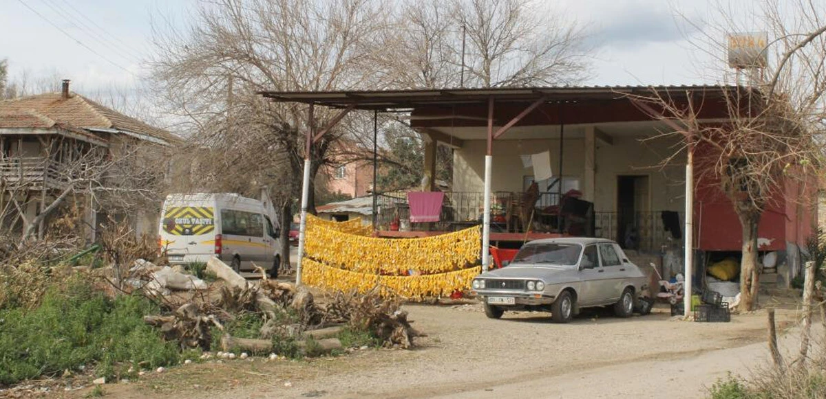 Çamaşır gibi kabuk kurutuyorlar: Mahallenin geçim kaynağı oldu