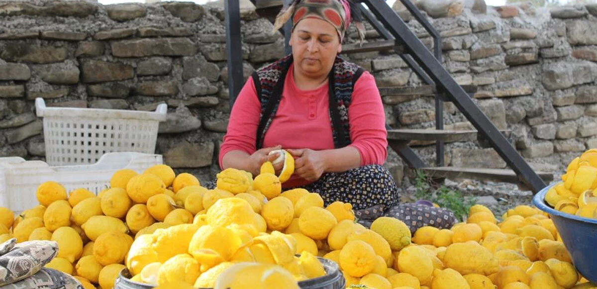 Çamaşır gibi kabuk kurutuyorlar: Mahallenin geçim kaynağı oldu